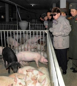 In this undated photo released by Korean Central News Agency via Korea News Service in Tokyo Saturday, Jan. 16, 2010, North Korean leader Kim Jong Il, wearing sunglasses, visits a pig farm under Unit 534 of the Korean People's Army at undisclosed location in North Korea